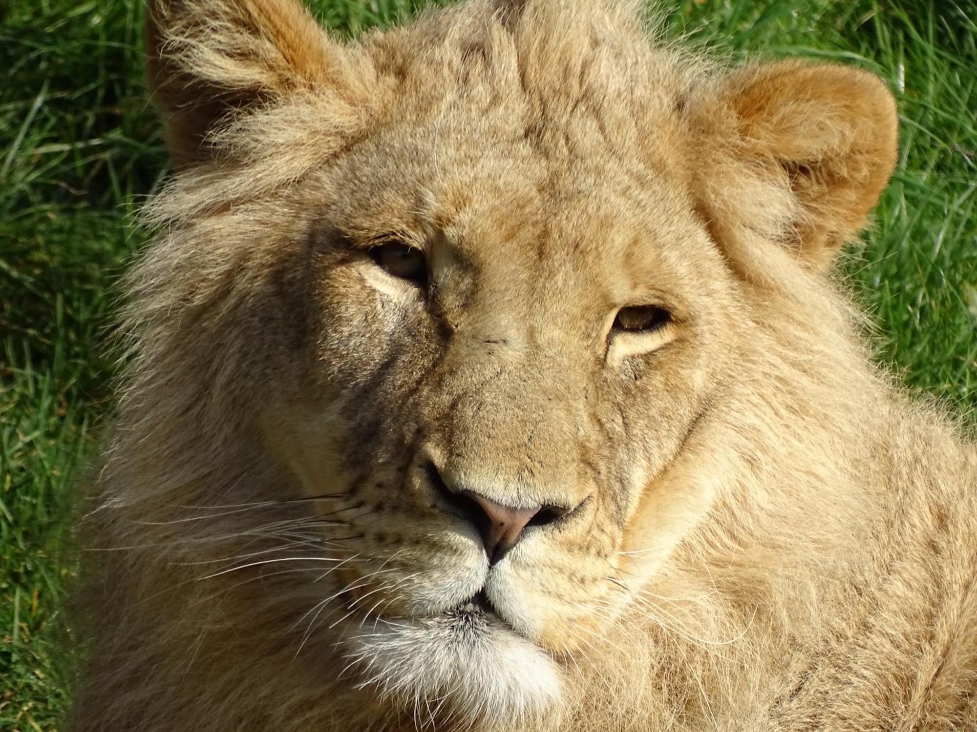 Trainefeuilles - Chambres D'Hotes Proche Zoo De Beauval Le Controis-en-Sologne Exterior foto