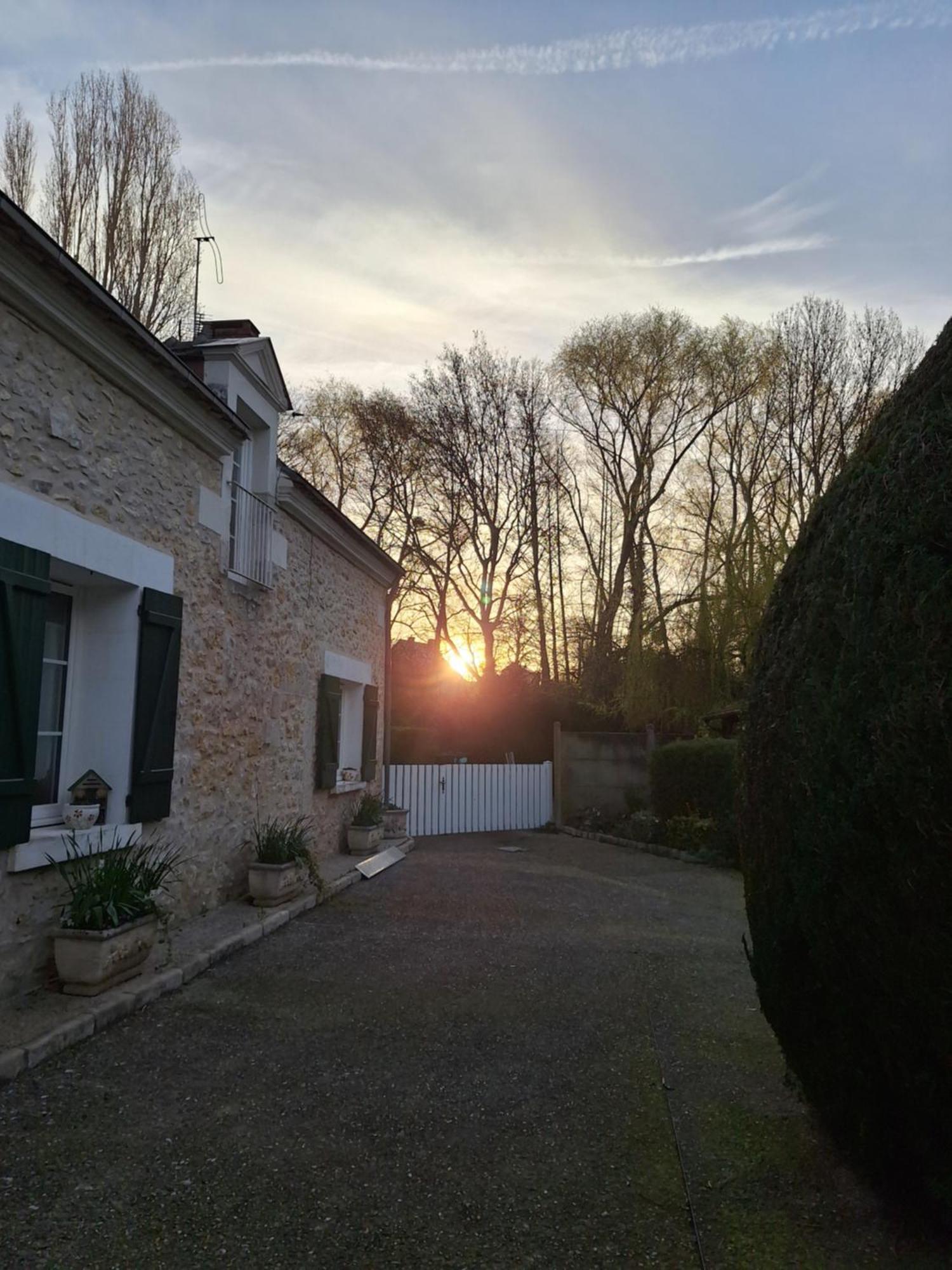 Trainefeuilles - Chambres D'Hotes Proche Zoo De Beauval Le Controis-en-Sologne Exterior foto