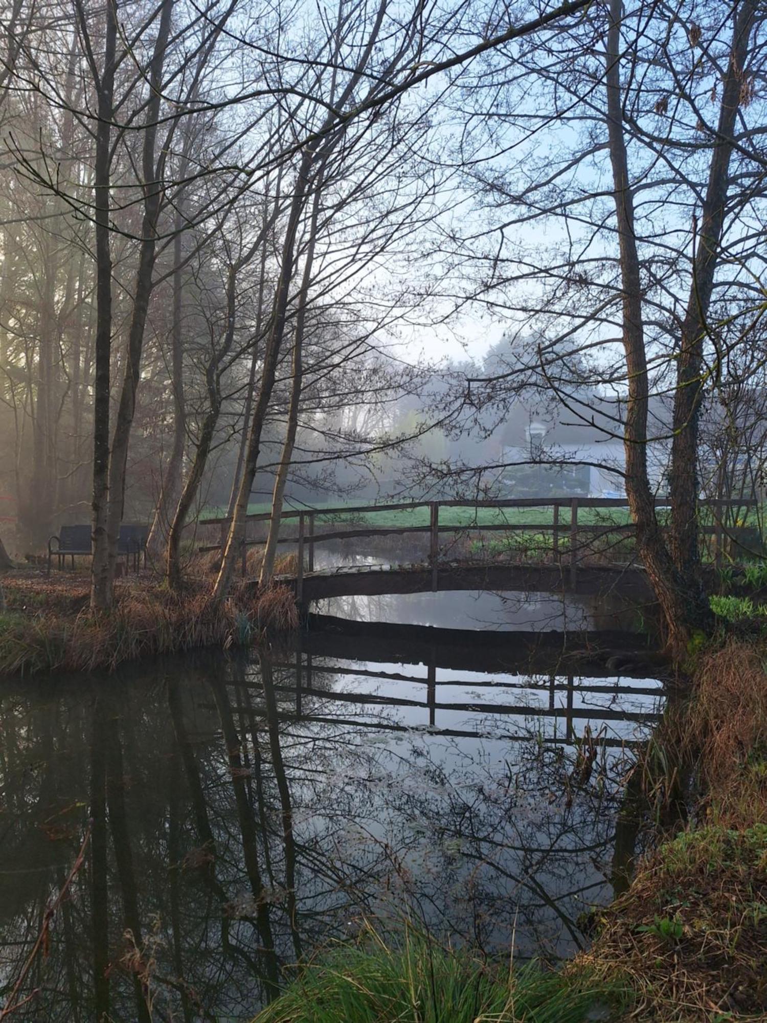 Trainefeuilles - Chambres D'Hotes Proche Zoo De Beauval Le Controis-en-Sologne Exterior foto