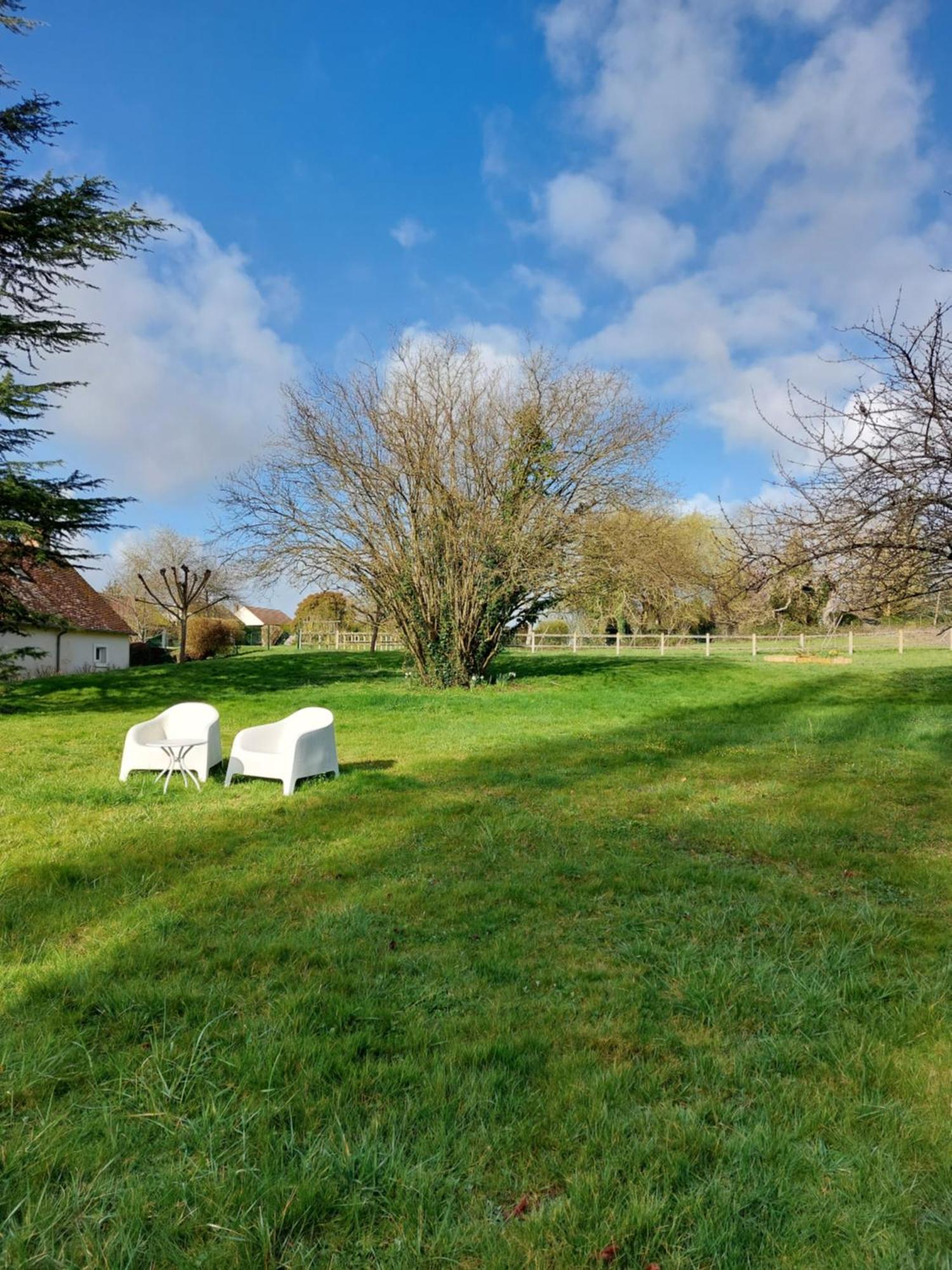 Trainefeuilles - Chambres D'Hotes Proche Zoo De Beauval Le Controis-en-Sologne Exterior foto